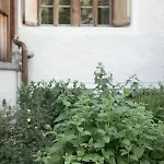 Отель Alpengasthof Crusch Alba Ed Alvetern, S-charl Скуоль