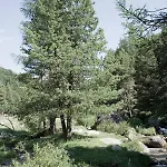 Отель Alpengasthof Crusch Alba Ed Alvetern, S-charl Скуоль