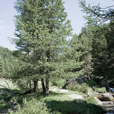 Hotell Alpengasthof Crusch Alba Ed Alvetern, S-charl Scuol