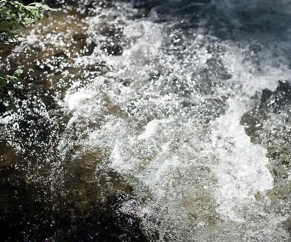 Alpengasthof Crusch Alba Ed Alvetern, S-charl *