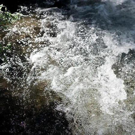 Alpengasthof Crusch Alba Ed Alvetern, S-charl *