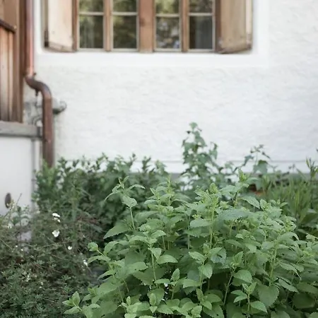 Hotel Alpengasthof Crusch Alba Ed Alvetern, S-charl Scuol